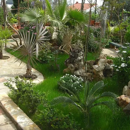 Apartment In With Sea View, Terrace, Air Conditioning, Wifi 5046-2